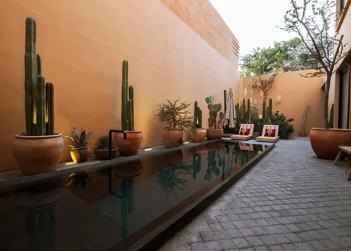 Macondo Arte Oaxaca